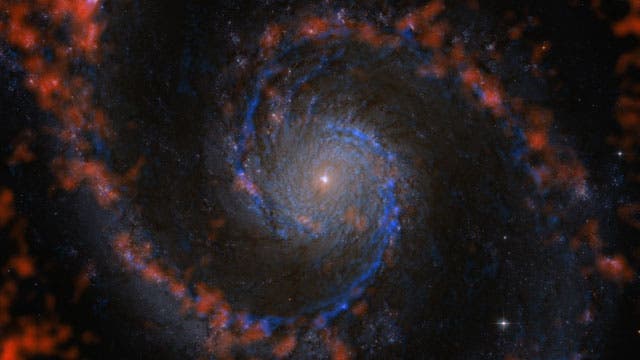 Die Verteilung molekularen und atomaren Gases in der Spiralgalaxie M 51