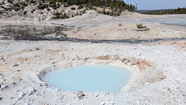 Eine bläulich-weiße heiße Quelle in einer kargen, vulkanischen Landschaft mit spärlicher Vegetation im Hintergrund. Der Himmel ist klar und blau. Die Umgebung ist steinig und mineralhaltig, typisch für geothermische Gebiete. Im Hintergrund sind einige Bäume zu sehen.