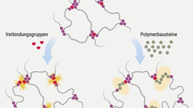 Eine wissenschaftliche Abbildung zeigt eine chemische Struktur mit Verbindungsgruppen und Polymerbausteinen. Oben ist eine komplexe Struktur mit hexagonalen und kreisförmigen Elementen dargestellt. Links unten wird durch einen Pfeil auf die Integration von Verbindungsgruppen hingewiesen, die durch rote Symbole dargestellt sind. Rechts unten zeigt ein weiterer Pfeil die Einbindung von Polymerbausteinen, die durch grüne Kreise symbolisiert werden. Die Struktur ist durch wellenförmige Linien verbunden, die die chemische Vernetzung darstellen.