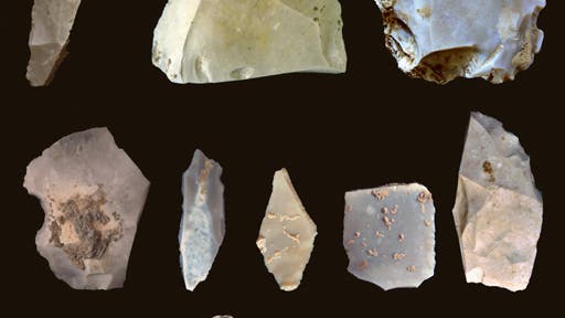 Die gefundenen Steinwerkzeuge