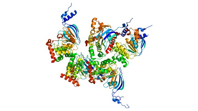 Der Cystic Fibrosis Transmembrane Conductance Regulator (CFTR) ist ein auf der Oberfläche von Zellen festsitzendes Protein.