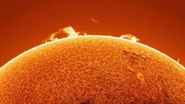Die Sonne mit großen Randprotuberanzen
