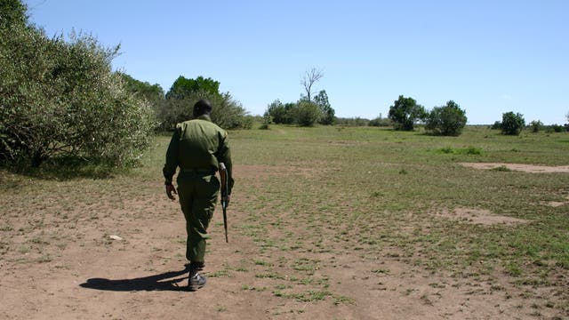 Ranger in Masai Mara, Kenia