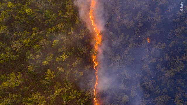 Feuersbrunst in Queensland, Australien