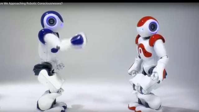 Denkende Roboter: Selbstbewusste Wesen oder nur kühle Logiker?