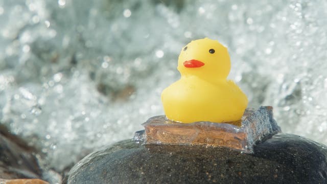 Eine gelbe Gummiente sitzt auf einem Stück transparentem Hydrogel, das auf einem nassen, glatten Stein am Meer platziert ist. Im Hintergrund ist die schäumende Brandung zu sehen.