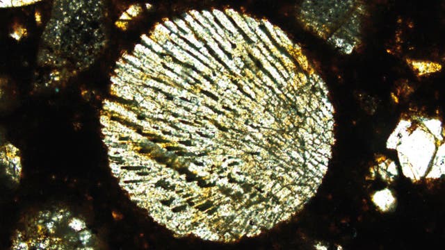 In der Bildmitte sieht man eine Chon­dre mit fächerartig ausgeprägten Kristallen (hell). Dazwischen befindet sich feinkörniges Füll­ma­te­rial, die so genannte Mesostasis (dunkel).