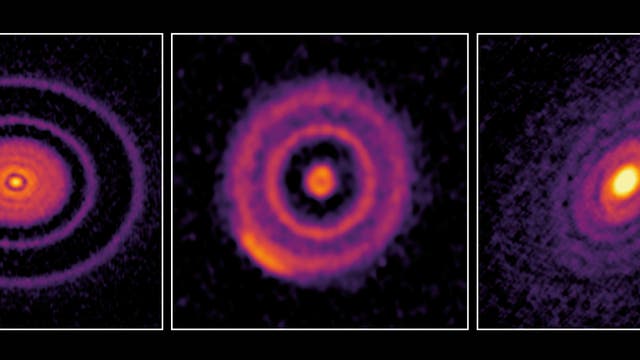 Diese 20 protoplanetaren Scheiben wurden mit ALMA aufgenommen