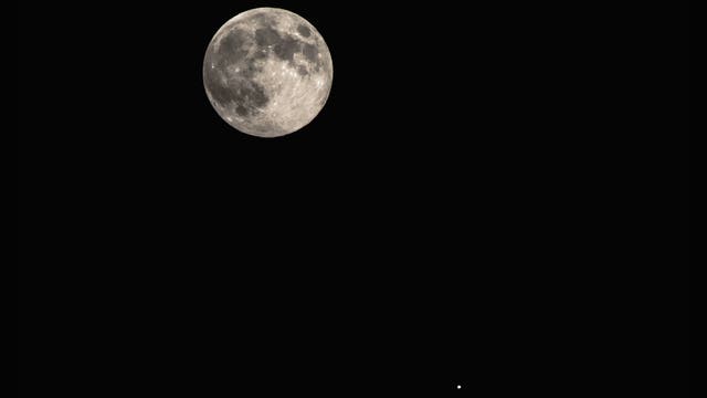 Im Mai leuchtet Jupiter so hell, dass er selbst neben dem Vollmond noch auffällt. Eine solche Begegnung fotografierte Ralf Blum am 11. April 2017 – und bald können wir ein ähnliches Ereignis beobachten: Am 27. Mai 2018 wird der Riesenplanet rund drei Grad südwestlich des Mondes stehen.