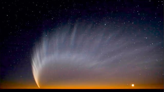 Komet McNaught