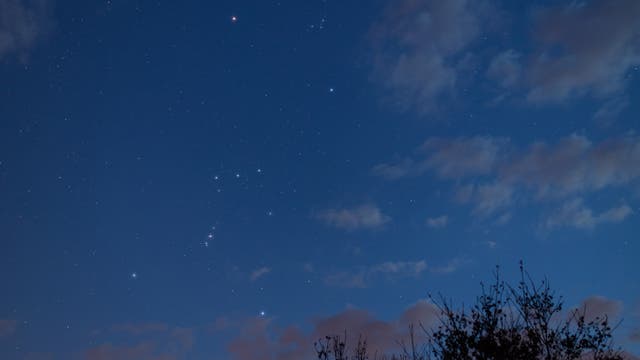 Orion am Winterhimmel