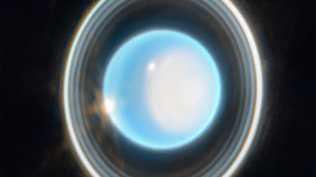 Der Eisriese Uranus durch die NIRCam des JWST