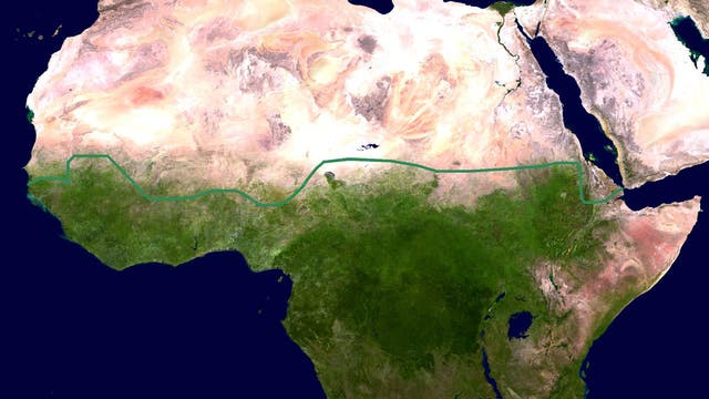 Afrika Grüne Mauer