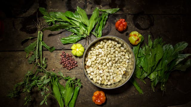 Zutaten für die gute Amazonas-Küche