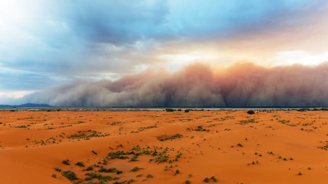 Sandsturm über der Wüste