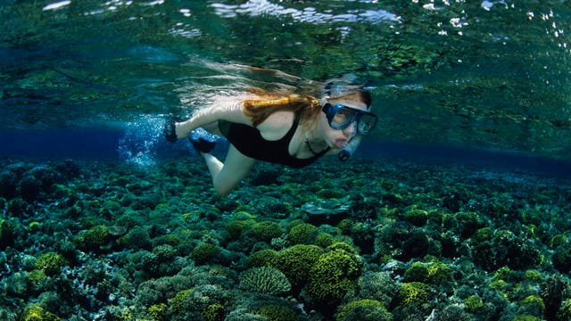 Junge Frau schnorchelt über einem Korallenriff