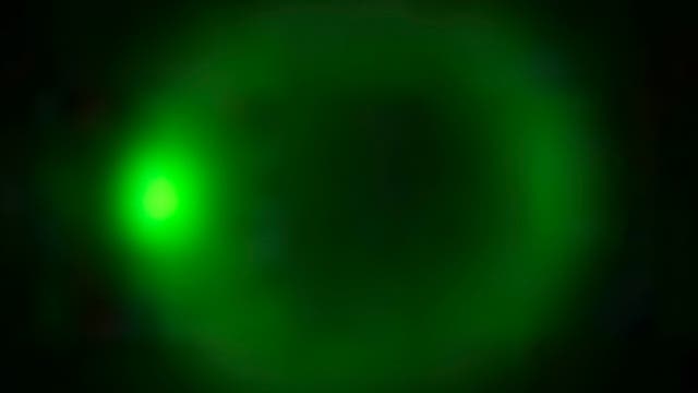 Lichteinfall regt Synechocystis-Zellen zu fokussierter Fluoreszenz an