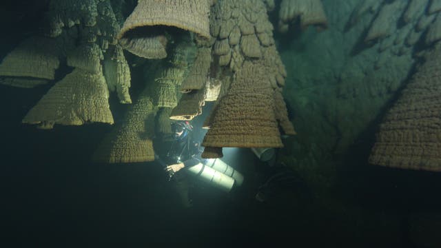 Forschungstaucher erkunden die Cenote "El Zapote" auf der mexikanischen Halbinsel Yukatan. Die Unterwasserhöhle beherbergt Kalkformationen, "Hells Bells" genannt. Sie entstehen, weil Bakterien die Chemie des Wassers verändern. 