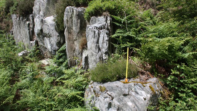 Herkunftsort der Stonehenge-Monolithe gesichert