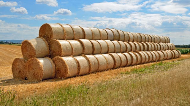 Stroh ist Biomasse für Biokraftstoff