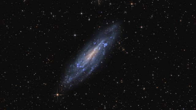 Die Galaxie NGC4236