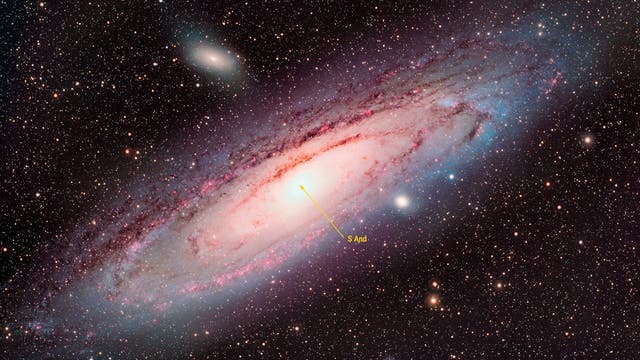 Eine detaillierte Aufnahme einer Spiralgalaxie im Weltraum, umgeben von zahlreichen leuchtenden Sternen. Die Galaxie zeigt eine helle, zentrale Region mit spiralförmigen Armen, die von dunklen Staubstreifen durchzogen sind. Der Hintergrund ist mit vielen kleinen, funkelnden Sternen übersät, die die Weite des Universums verdeutlichen.
