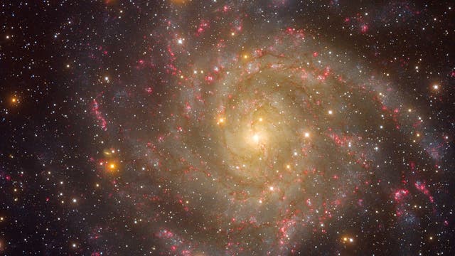 Die Galaxie IC 342 (Übersichtsbild)