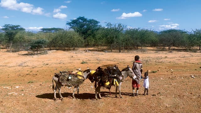 Eine Frau steht mit ihrem Kind an der Hand und zwei bepackten Eseln am Straßenrand im Norden Kenias.
