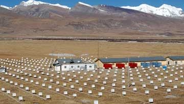 Tibet Air Shower Array