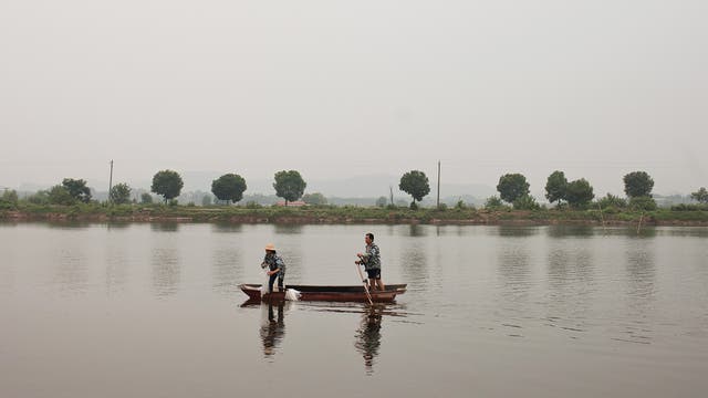 Fischteich bei Wuhan