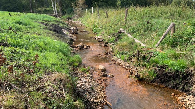 Ein kleiner, klarer Bach fließt durch eine grüne, ländliche Landschaft. Auf beiden Seiten des Baches wachsen Gras und Büsche, während im Hintergrund Bäume zu sehen sind. Ein einfacher Holzzaun verläuft entlang des rechten Ufers. Der Himmel ist klar, was auf einen sonnigen Tag hindeutet.