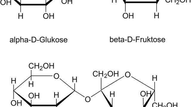 Haworth-Projektionsformeln von Glukose, Fruktose und Saccharose
