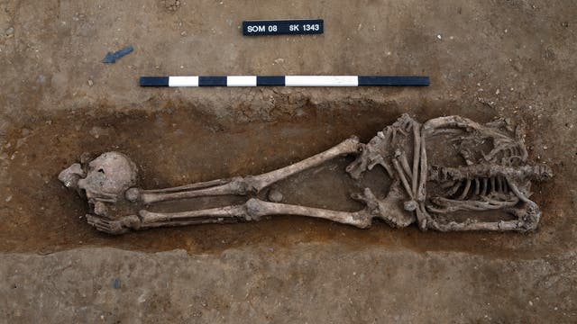 Römerzeitliches Skelett eines Geköpften aus Knobb's Farm, England.