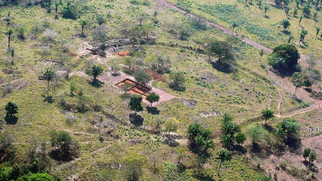 Kreisgrabenanlage im ehemaligen Regenwald