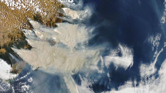 Buschbrände wehen Rauch und Asche auf den Pazifik hinaus