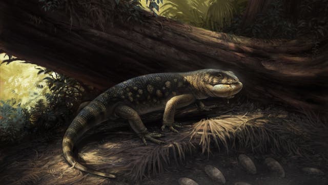 Ein prähistorisches Reptil mit einem kräftigen Körper und einem markanten Kiefer steht auf einem Waldboden, umgeben von Eiern. Im Hintergrund sind große Bäume und dichtes Laub zu sehen, durch das Sonnenlicht fällt. Die Szene vermittelt eine urzeitliche Atmosphäre.