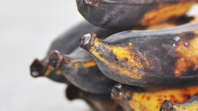 Verdorbene Bananen