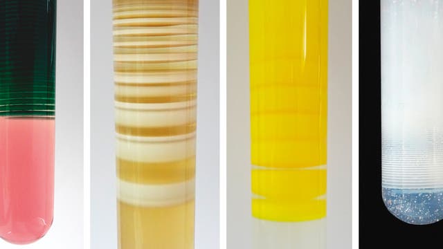 Hübsche Liesegang-Bänder lassen sich auch mit anderen Reagenzien erzeugen. In den hier gezeigten Beispielen bestehen sie aus Cobalthydroxid, Manganhydroxid, Bleiiodid und Bleihydroxid (von links nach rechts).