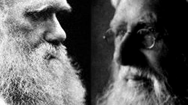 Darwin und Wallace