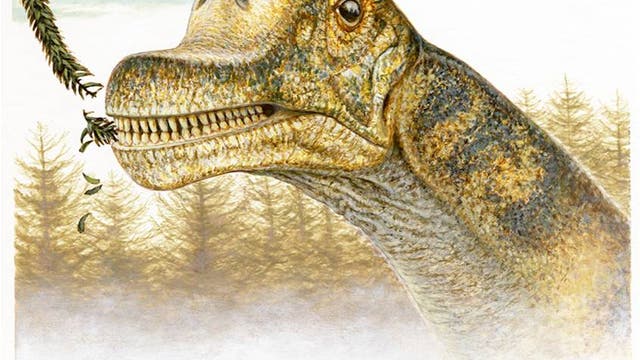 Abydosaurus