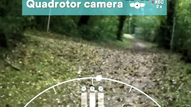 Drohne fliegt einen Waldweg entlang