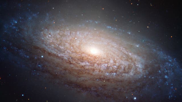 Die Spiralgalaxie NGC 3521 im Sternbild Löwe