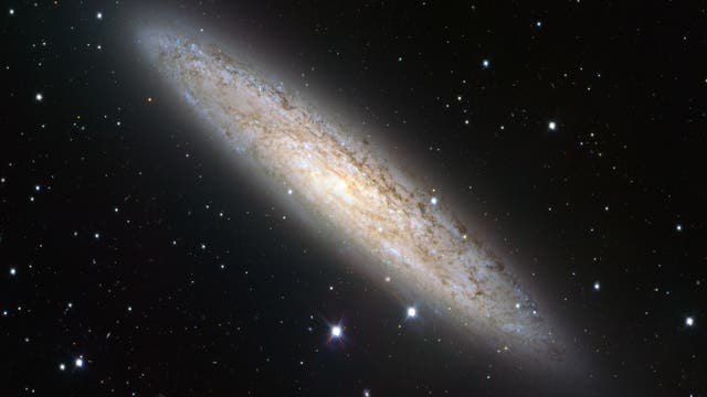 Die Sculptorgalaxie NGC&nbsp;253