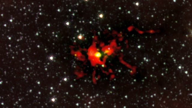Protostern im Sternbild Winkelmaß, aufgenommen von ALMA