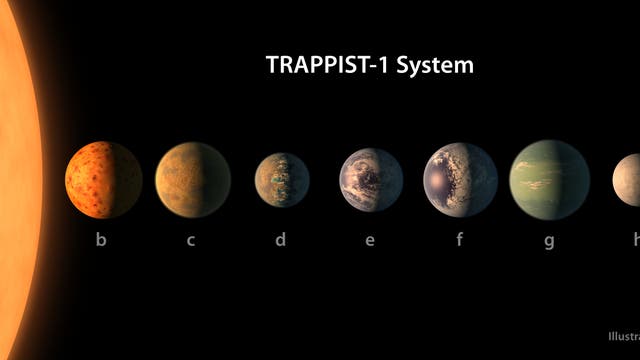 Nicht zu heiß und nicht zu kalt: Vier der Planeten werden von ihrer Sonne just so stark erwärmt, dass es auf ihrer Oberfläche Ozeane geben könnte, wie diese künstlerische Darstellung andeutet. 