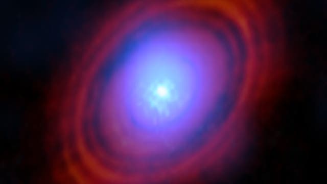 Falschfarbenbild der Scheibe um den Stern HL Tauri. Man erkennt ringförmig angeordnete Lücken in der roten Scheibe aus Staub, während der Wasserdampf, dargestellt in blau, sich eher im Zentrum konzentriert.