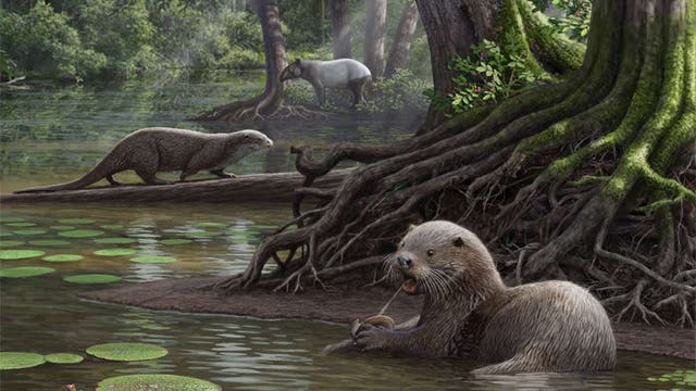 Wolfgroßer Otter in prähistorischer Sumpflandschaft