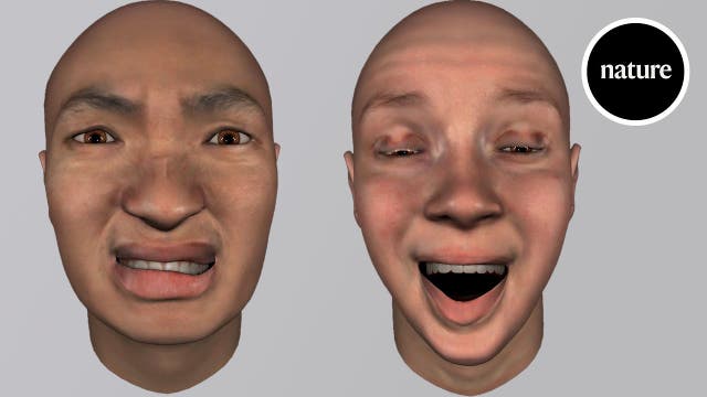 Wissenschaftler untersuchen Gesichtsausdrücke