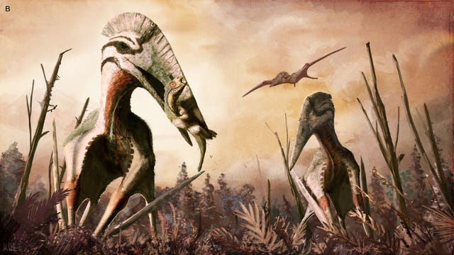 Hatzegopteryx erbeutet kleinen Dinosaurier