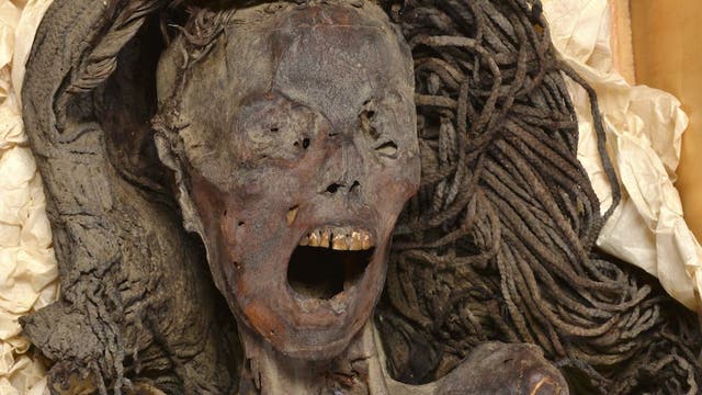Kopf einer vor 3500 Jahren einbalsamierten toten Frau. Die Mumie besitzt lange Haare, die Haut ist braun, der Mund steht weit offen und man sieht die obere, gelblich-braune Zahnreihe. Sie liegt auf einer Art hellem Papier in einem Labor.